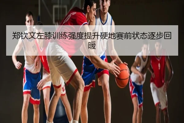 郑钦文左膝训练强度提升硬地赛前状态逐步回暖